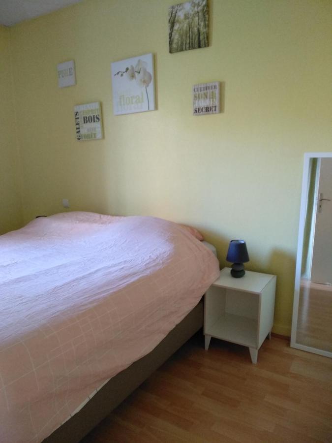 chambre d'hôte à 15 minutes de la gare dans appartement Annecy Exterior foto